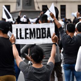 El Movimiento De Liberación Nacional Una Lucha Por La Independencia Y