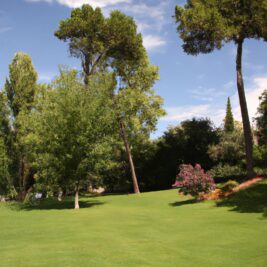 El Papel Del Movimiento Ecologista En La Protección De Los Espacios