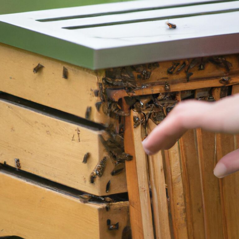 El Papel Del Movimiento Ecologista En La Protecci N De Las Abejas Y Su Importancia Para La