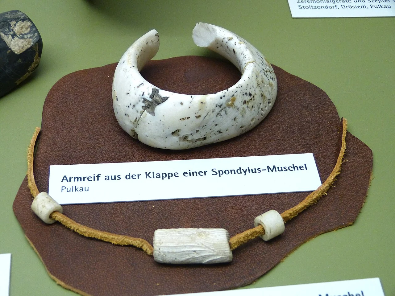El uso de conchas marinas en la Prehistoria: una ventana hacia el pasado 8 A Spondylus shell ornament, such as a bracelet or bead, showing the shell material and worked form.